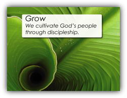 Grow - We cultivate God's people through discipleship.