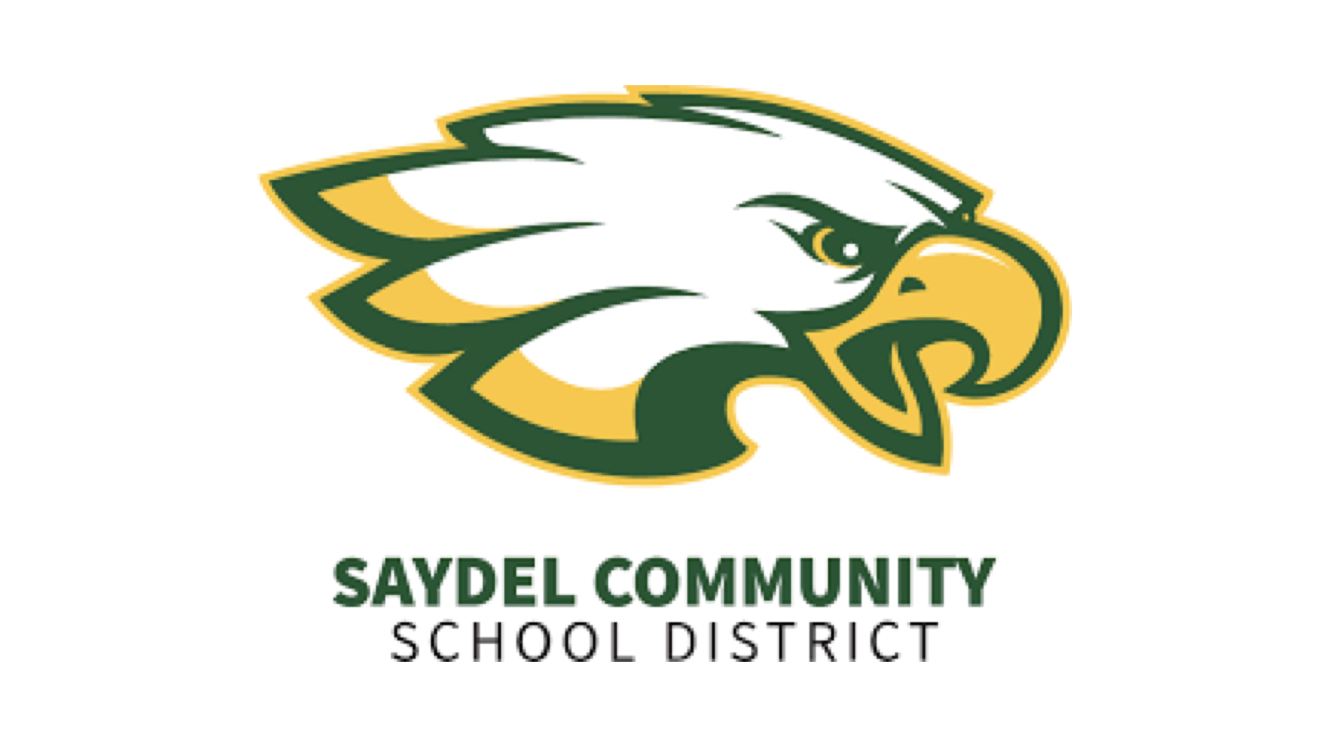 Saydel HFDSM β Saydel